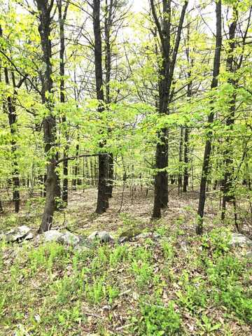 0 High Hill Road, Athens, NY 12015