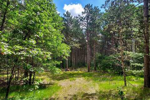 2536 9th Drive, Adams, WI 53910
