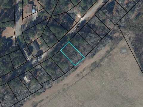 Lot 19 Robin Dr, Bamberg, SC 29003