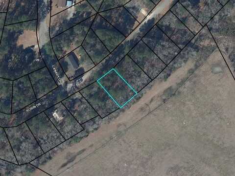 Lot 18 Robin Dr, Bamberg, SC 29003