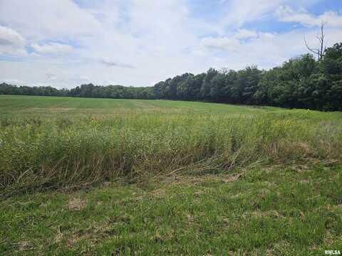 0000 Roseborough Road, Sparta, IL 62286