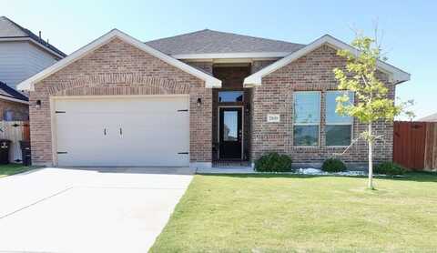 7100 Thomas Paine Rd, Midland, TX 79706