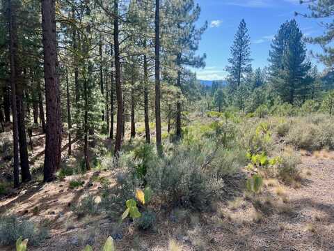 330 Sunburst, Portola, CA 96122