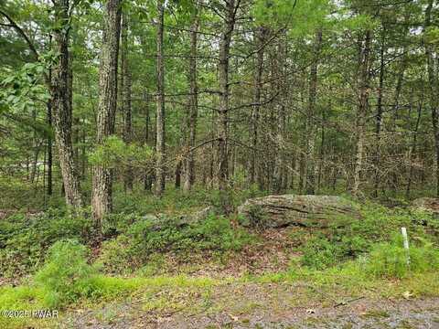 Lot 42 Ripplewood Drive, Tafton, PA 18464