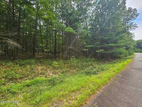 Lot 44 Ripplewood Drive, Tafton, PA 18464