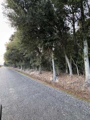 Tbd Bearcat Road, Basile, LA 70515