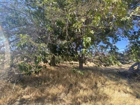 8521 Fremontia WAY, Lake Isabella, CA 93240
