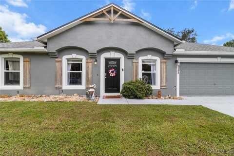 8263 N Triana Drive, Citrus Springs, FL 34434