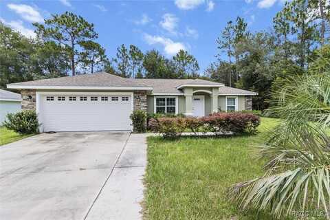 9849 N Sandree Drive, Citrus Springs, FL 34434