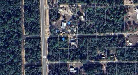 NE 234TH Place, Fort Mc Coy, FL 32134