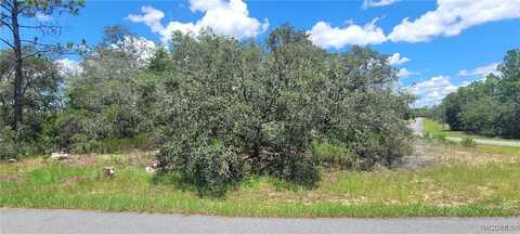 11250 N Ely Point, Citrus Springs, FL 34433