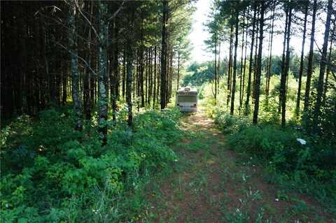 N12715 N Monthei Road, Fairchild, WI 54741