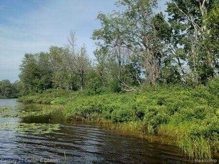 0000 Tahquamenon River (shore), Mc Millan, MI 49868