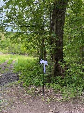 00000 Lotzford Road, Canton, MI 48187