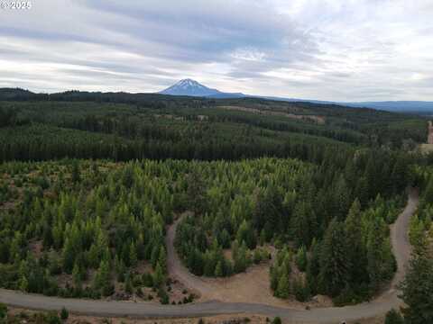 4 Conboy Heights, White Salmon, WA 98672