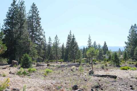 Lot 52 Hidden Meadow Dr., Weed, CA 96094