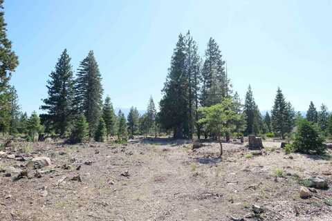Lot 52 Hidden Meadow Dr., Weed, CA 96094