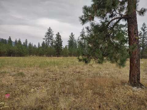 7534 Kimberly Dr. Way, Ford, WA 99013