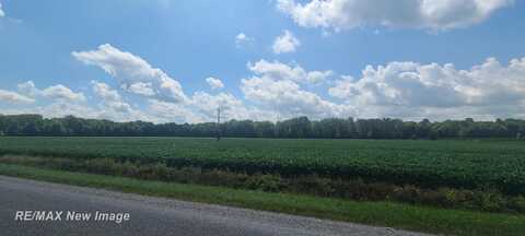 VL W Birch Run, Burt, MI 48614