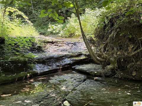 1755 Old 61 Loop Road, Breeding, KY 42715