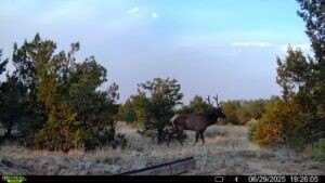 83 Bear Valley Road,, Ramah, NM 87321