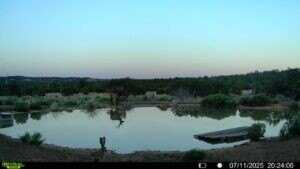 221/223 Five Gate Road, Other, NM 87321