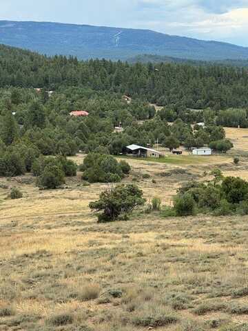 Unit 5 Tract 1 Private Drive 1783, Chama, NM 87520