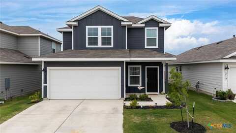 209 Ehrlich Street, Kyle, TX 78640