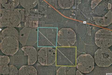 500 acre Carter's Mill Road, Brinson, GA 39825