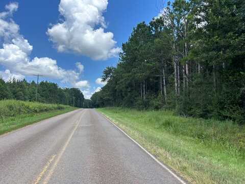 Tbd River Road North, Summit, MS 39666