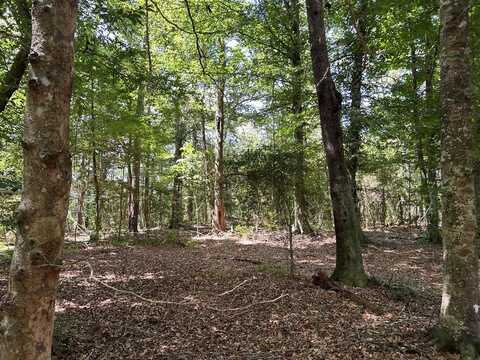TBD River Road North, Summit, MS 39666