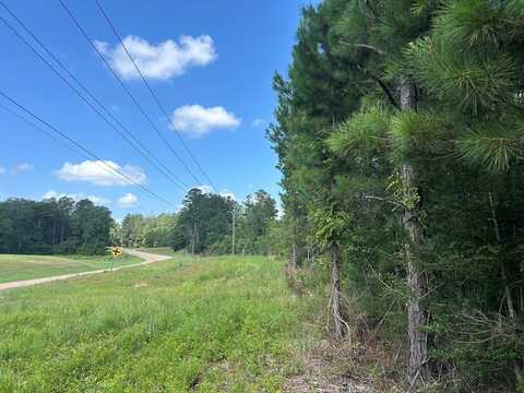 TBD Hwy 570, Summit, MS 39666
