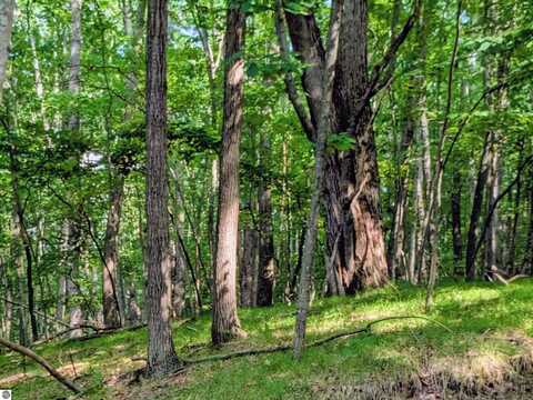 11717 Broken Arrow, Stanwood, MI 49346