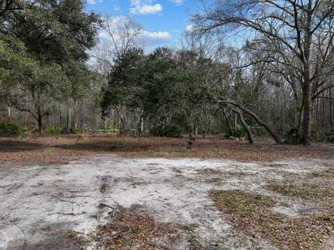 17641 Aucilla River Estates Road, Lamont, FL 32336
