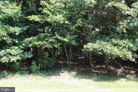 1851 MUNITY DRIVE, GREENBACKVILLE, VA 23356
