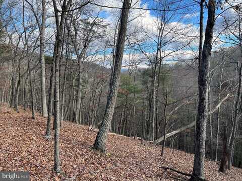 CARDINAL VIEW ROAD, PAW PAW, WV 25434