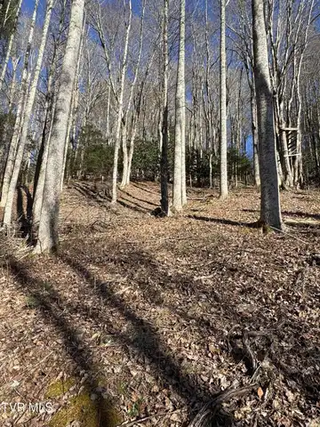 6020 Forge Creek Road, Mountain City, TN 37683