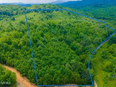 213 Cedar Ridge, Harriman, TN 37748