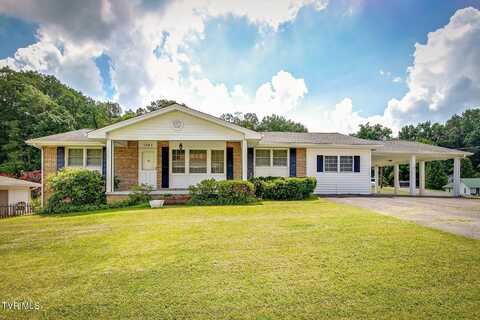 1283 Bridwell Street, Kingsport, TN 37664