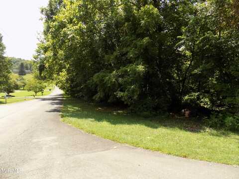 Lakeshore Circle, Rogersville, TN 37857