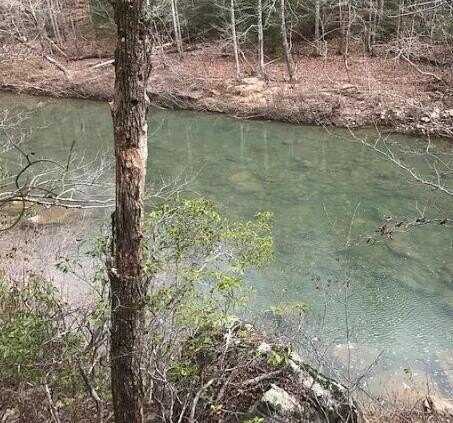 Lot 21 E Bobcat Lane, WILDER, TN 38589