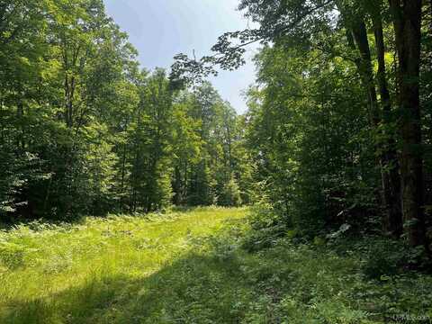 20 acres Brown Deer, Big Bay, MI 49808