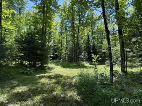 33.85 Acres Cable Lake, Crystal Falls, MI 49920
