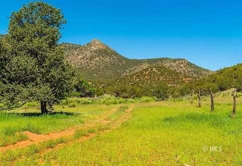 Lot 10 Rice Mtn Way, Canon City, CO 81215