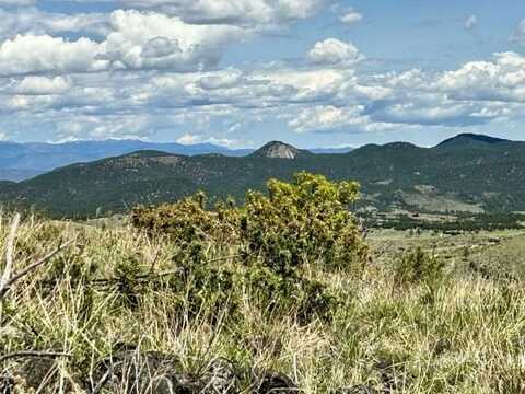 TBD Vacant Land, Cotopaxi, CO 81223