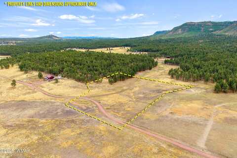 3 County Rd. N2157, Alpine, AZ 85920