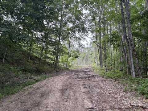Mount Jack Road, Elmira, MI 49730