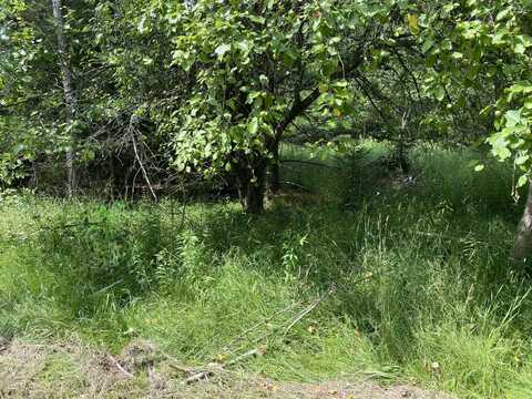 V/L Walsh Road, Cheboygan, MI 49721