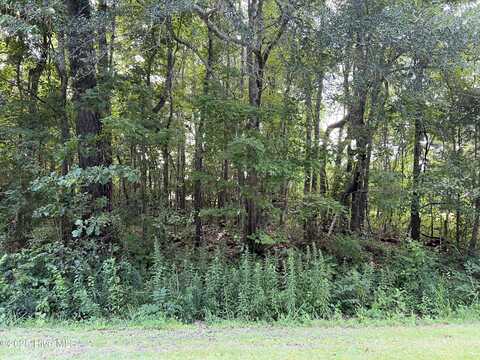 104 Colony Drive, Edenton, NC 27932