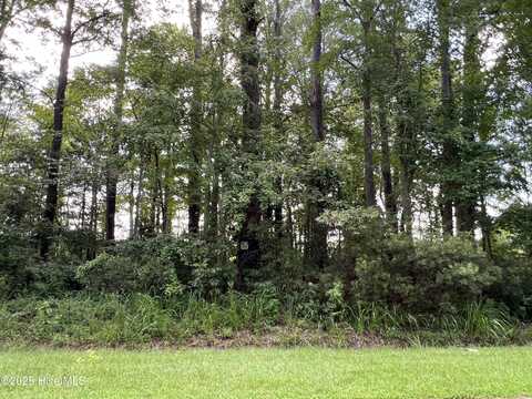 124 Colony Drive, Edenton, NC 27932